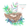 Illustration of the watercolor bird nests with eggs, hand drawn on a white background Royalty Free Stock Photo