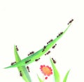 Ants walking along a blade of grass and a flower