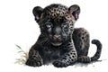 Illustration of watercolor cute baby black panter, ai generative