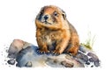 Illustration of watercolor cute baby marmot, ai generative