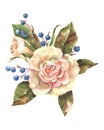 Illustration of watercolor fruit with flower rose.