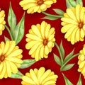 Illustration of watercolor hand drawn pattern with yellow wildflowers and green leaves isolated on red background. Flower. Royalty Free Stock Photo