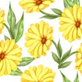 Illustration of watercolor hand drawn pattern with yellow wildflowers and green leaves isolated on white background. Flower. Royalty Free Stock Photo