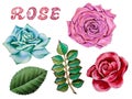 Illustration of watercolor hand drawn set of colorful roses, buds and leaves. Romantic flowers Royalty Free Stock Photo