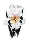 Illustration watercolor iris flower isolated on white background. Royalty Free Stock Photo