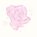 Illustration of watercolor rosebud