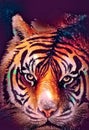 illustration of watercolor tiger, abstract color background, eye contact. Digital art. Royalty Free Stock Photo