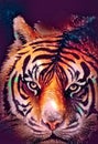 Illustration of watercolor tiger, abstract color background, eye contact. Digital art Royalty Free Stock Photo
