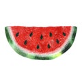 Illustration with watercolor watermelon Royalty Free Stock Photo