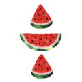 Illustration with watercolor watermelon Royalty Free Stock Photo