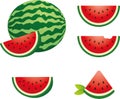 Set of illustrated watermelon slices vector