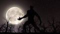 Illustration of a werewolf during the full moon in the creepy forest Royalty Free Stock Photo