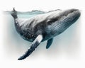 Illustration of Whale isolated on white background. Generative AI Royalty Free Stock Photo