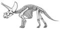 Triceratops skeleton, illustration, drawing, engraving, ink, line art, vector