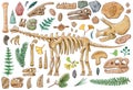 Dinosaur skeleton, skull and items illustration by watercolor with working path