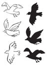 Birds flying silhouettes Royalty Free Stock Photo