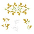 The illustration on a white background, an ornament from twigs, autumn berries and leaves, for textile, paper or an invitation