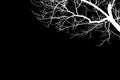 Illustration white bare tree silhouettes Royalty Free Stock Photo