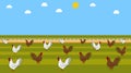 Illustration of white and brown chickens in a barnyard with beautiful blue sky - vector