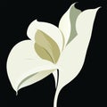 Illustration of white calla lily flower on black background. AI Generated Royalty Free Stock Photo