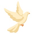 Illustration of white dove. Pigeon faith and love symbol.