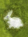 white easter rabbit in the green grass digital oil on canvas painting