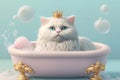 illustration of white fluffy quean cat laying in the bath. grooming animal concept