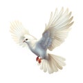 illustration of white flying dove clipart for design postcard, invitation, wedding Royalty Free Stock Photo