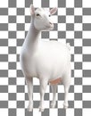 Illustration of a white goat on a checkered background