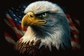 illustration of the white-headed eagle on the USA background Royalty Free Stock Photo