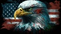 illustration of the white-headed eagle on the USA background Royalty Free Stock Photo