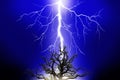 Lightning hitting a tree Royalty Free Stock Photo