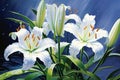 Illustration of white lilies on a dark background with water drops, Beautiful botanic lily flower oil paint illustration, AI Royalty Free Stock Photo