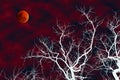 Illustration of white silhouette dead tree with blood moon Royalty Free Stock Photo