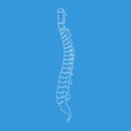 Illustration white spine diagnostic symbol or sign design. Dotted outline or line art style vector illustration. Royalty Free Stock Photo