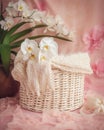 illustration of white wicker basket with white furry cover for people or product placement , pink background , created with ai Royalty Free Stock Photo