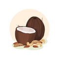 Flat vector illustration of whole and broken coconut, cashew and peanuts. Organic and healthy products. Natural and