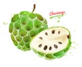 Illustration of whole and half of Cherimoya fruit