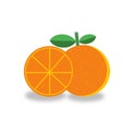 illustration of whole and halved orange fruit isolate in white Royalty Free Stock Photo