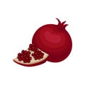 Flat vector design of whole and small slice of ripe pomegranate. Juicy fruit. Organic and healthy food