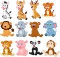 Wild animals cartoon collection set Royalty Free Stock Photo