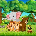 Wild animals in the forest Royalty Free Stock Photo