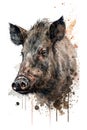 Illustration wild boar in watercolor. Animal on a white background, generative AI Royalty Free Stock Photo