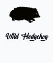 Illustration of a wild hedgehog. Royalty Free Stock Photo