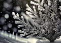 illustration of a winter atmosphere with closeup snowflake in monochromatic color Royalty Free Stock Photo