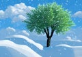 Illustration of a Winter Wonderland with a lone green Tree, Blue sky with white clouds