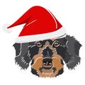Illustration wire-haired dachshund with red Christmas hat Royalty Free Stock Photo