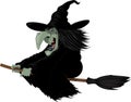 Illustration: Witch on broomstick Royalty Free Stock Photo