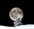 Illustration of a wolf jumping over snow with a huge full moon in the background Royalty Free Stock Photo