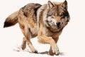 An illustration of a wolf running, AI Royalty Free Stock Photo